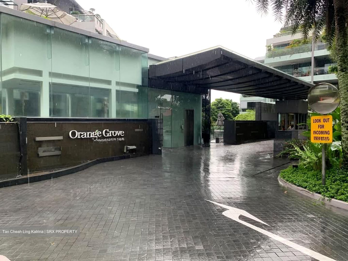 Orange Grove Residences (D10), Condominium #558951191